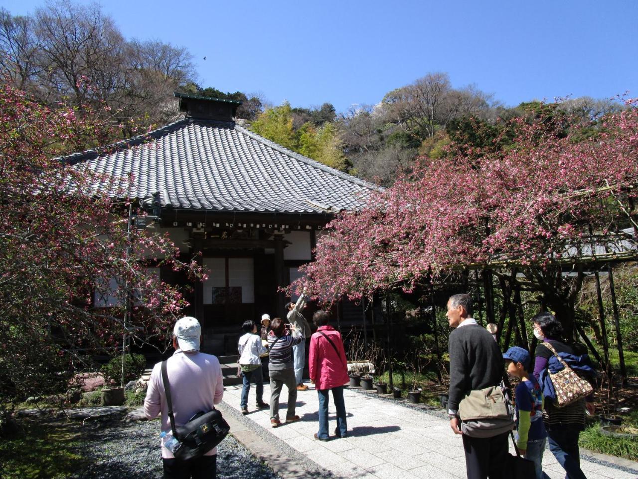 Kamakura Central Guest House Εξωτερικό φωτογραφία